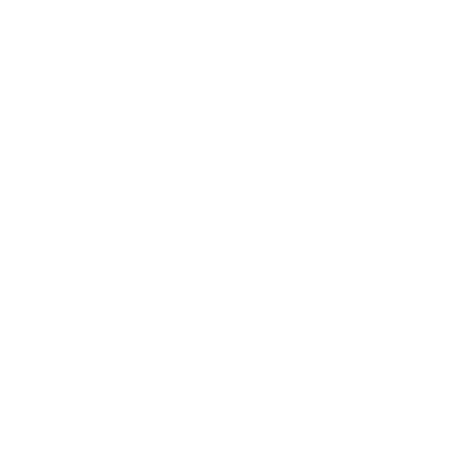 Our Blog Posts