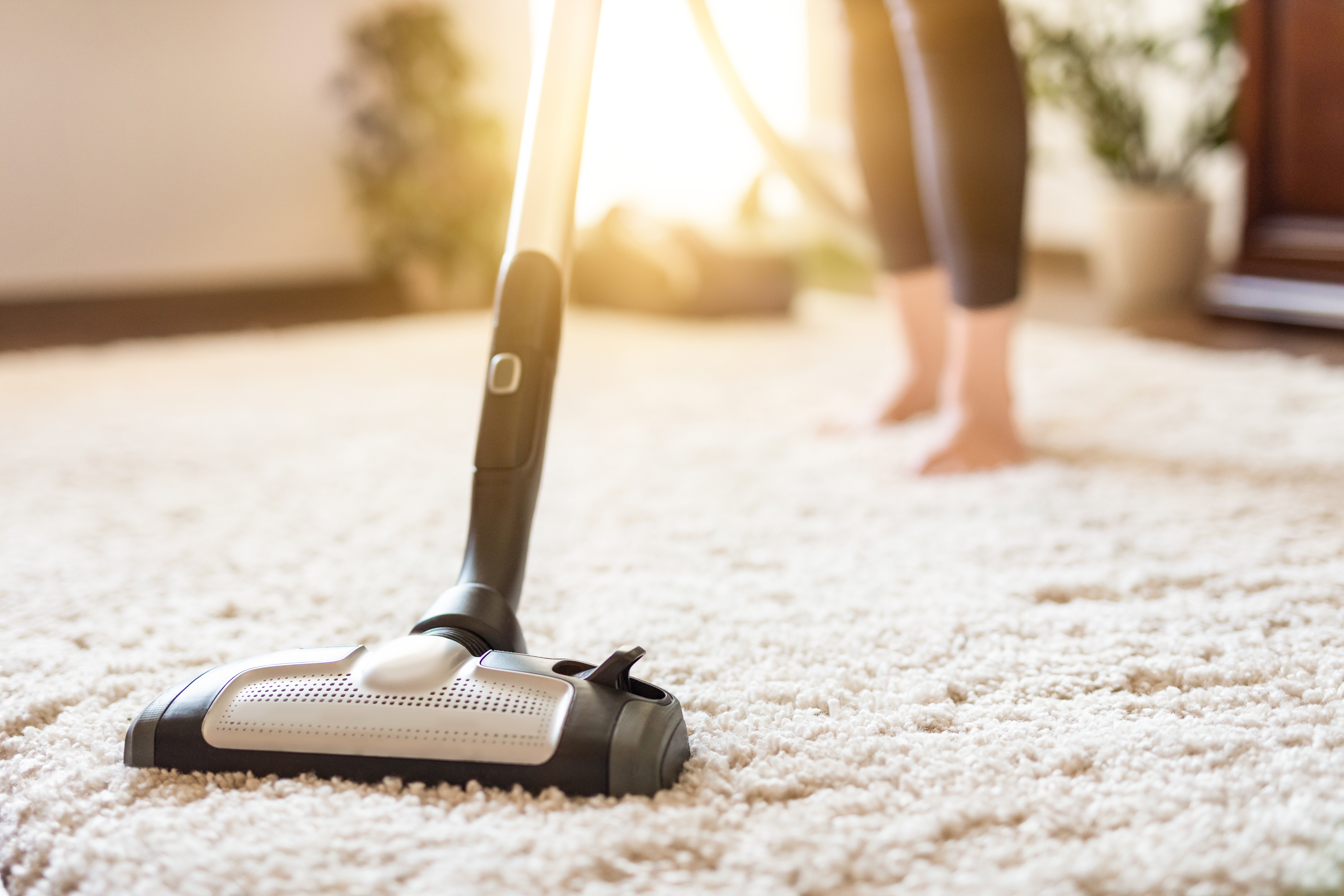 Maintain a Clean Living Environment