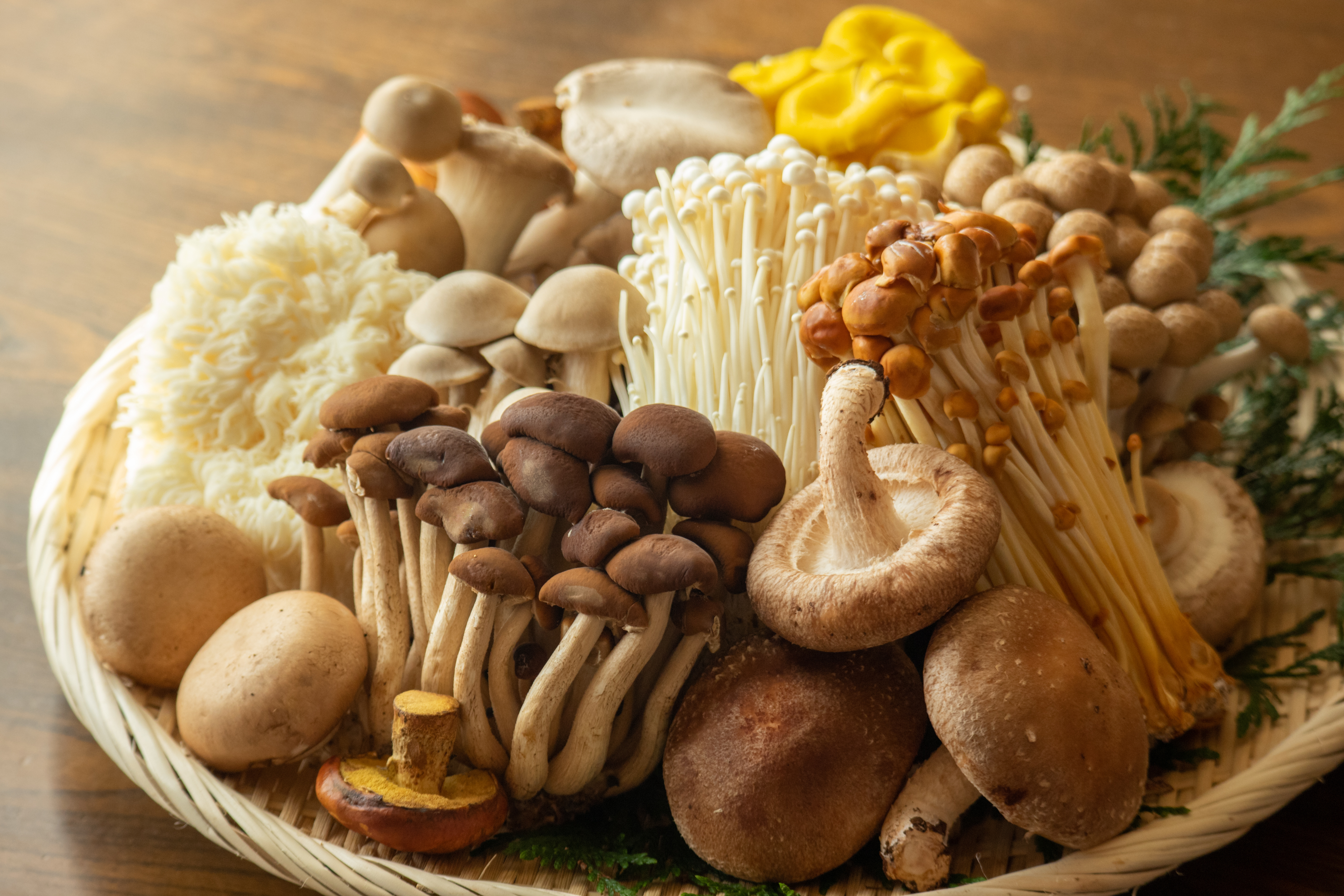 Embrace the Healing Wisdom of Medicinal Mushrooms
