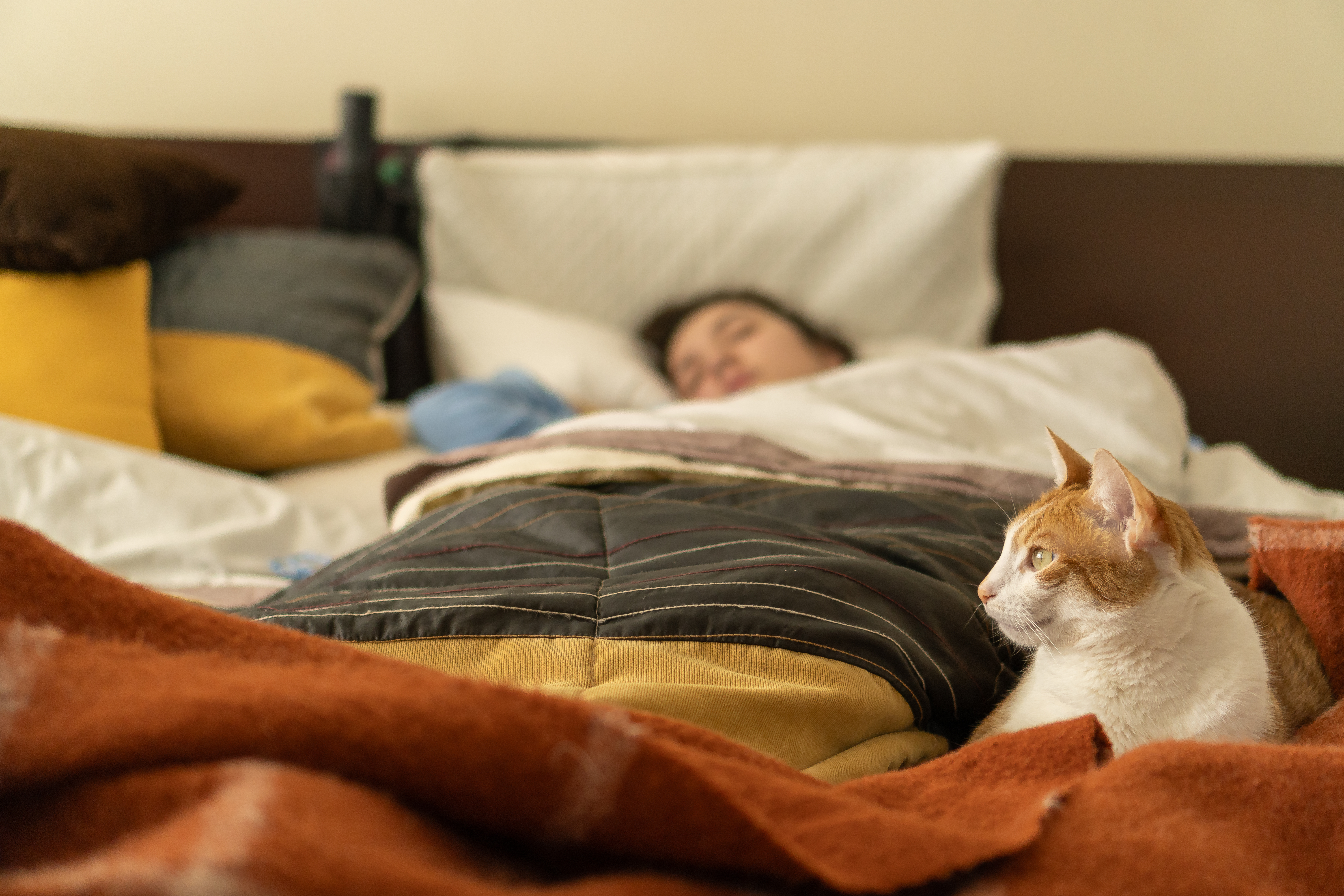 Set Up an Ideal Sleep Environment